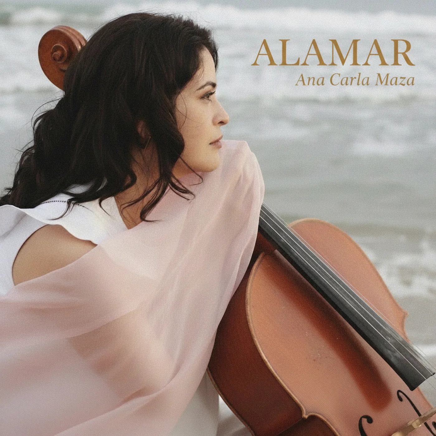 Ana Carla Maza - Alamar (LP) PREORDER