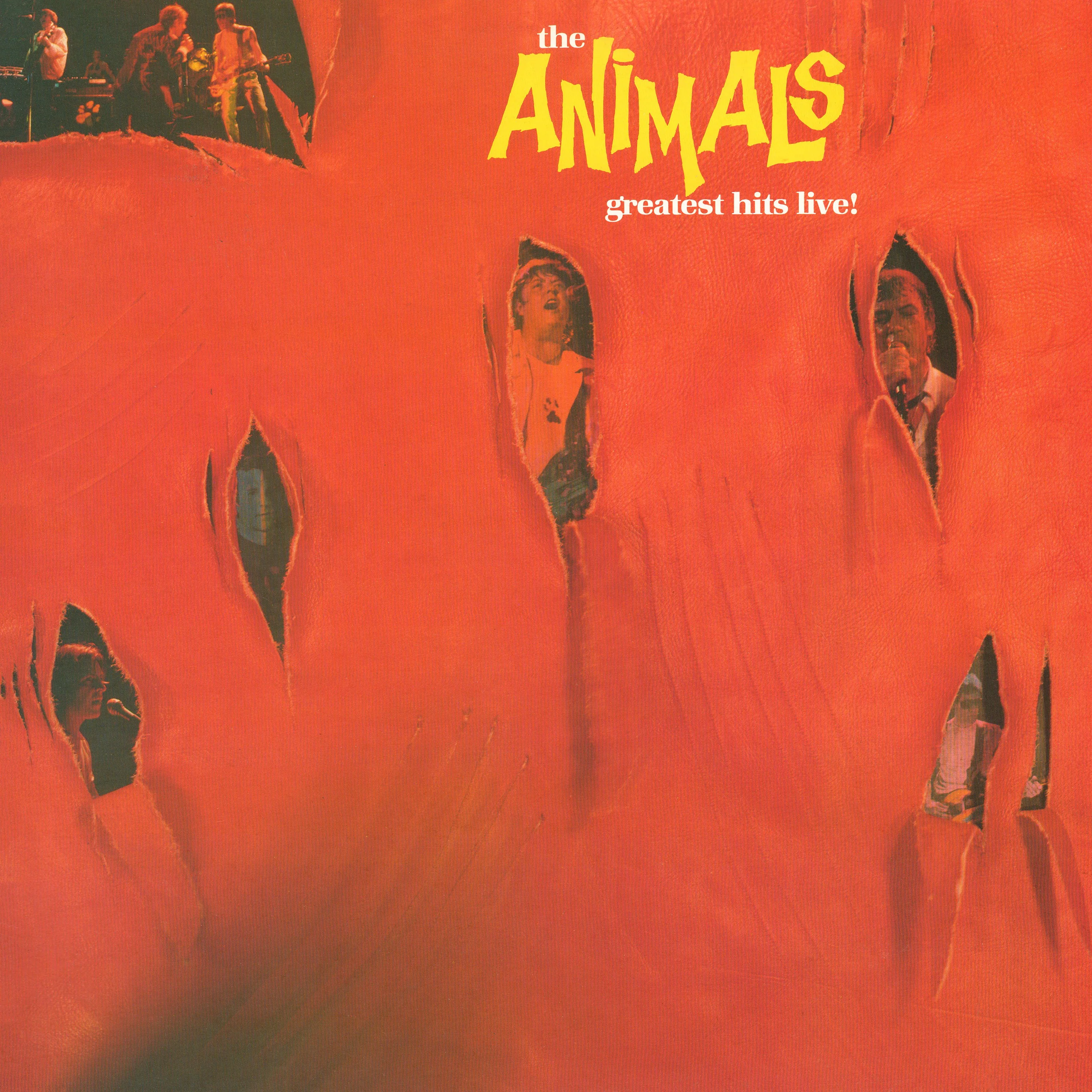 The Animals - Greatest Hits: Live (Blue Colored Vinyl) (LP)