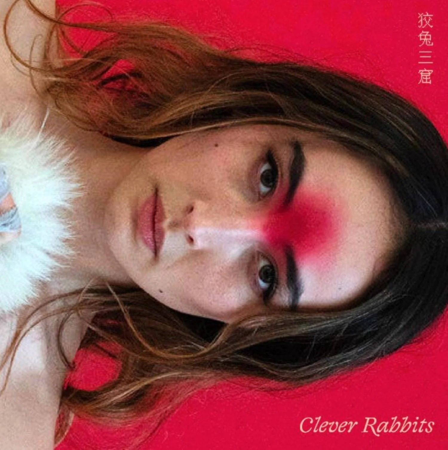 Ann Liu Cannon - Clever Rabbits (LP)