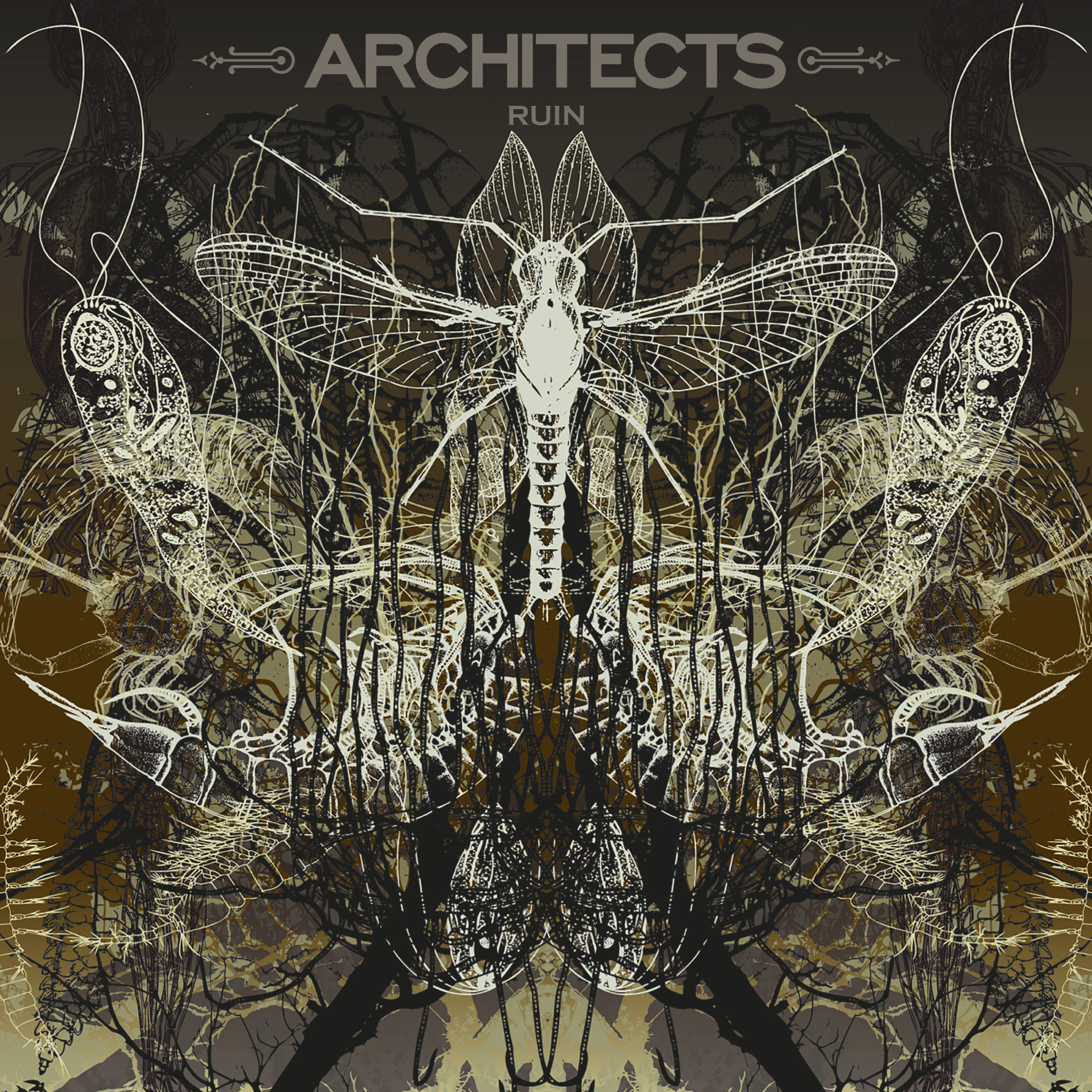 Architects - Ruin (Limited Picture Disc) (LP)