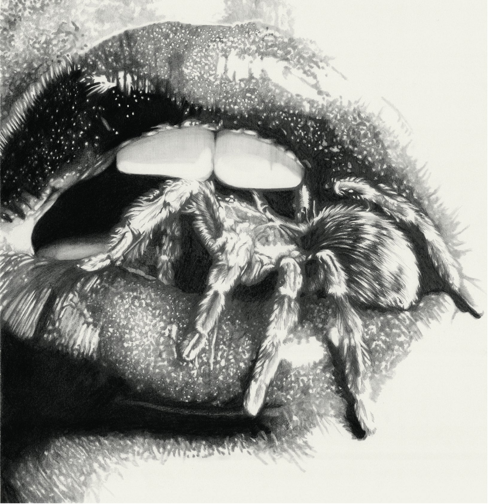 Masheena - Let The Spiders In (LP) PREORDER