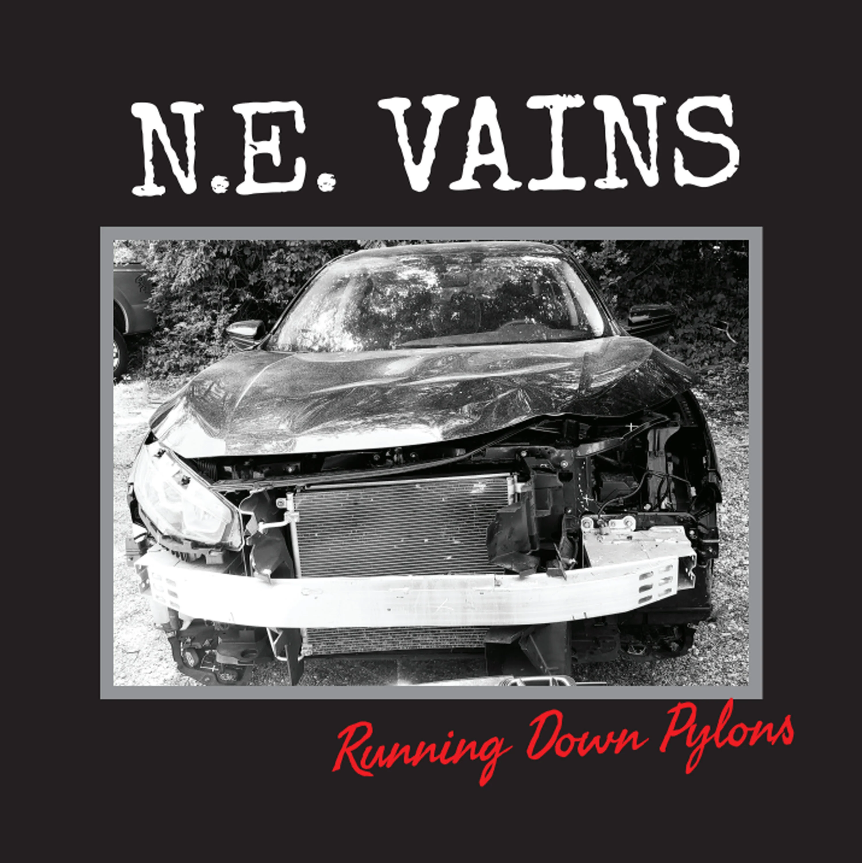 N.E. Vains - Running Down Pylons (LP)