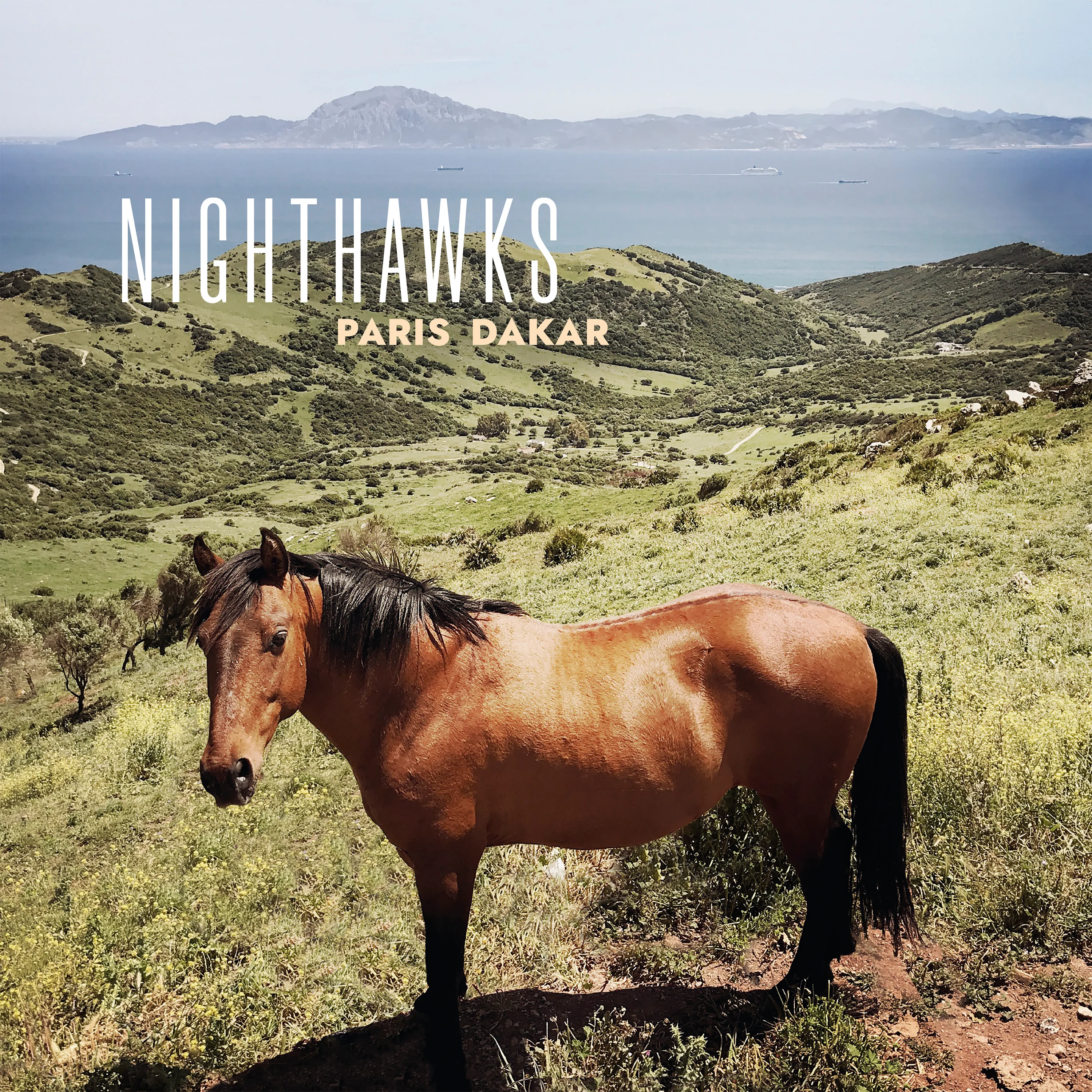 Nighthawks - Paris Dakar (LP)
