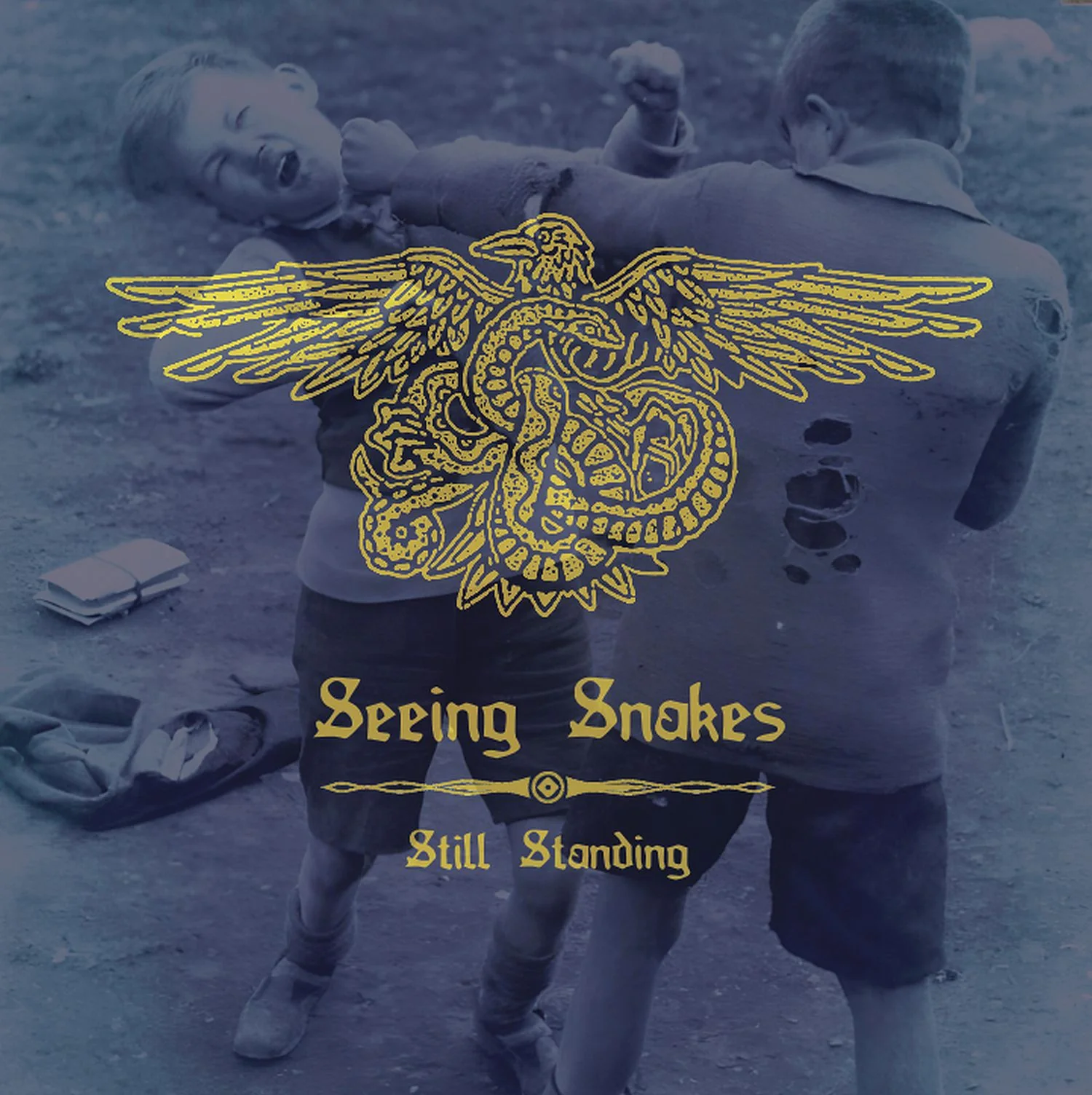Seeing Snakes - Still Standing (CD)