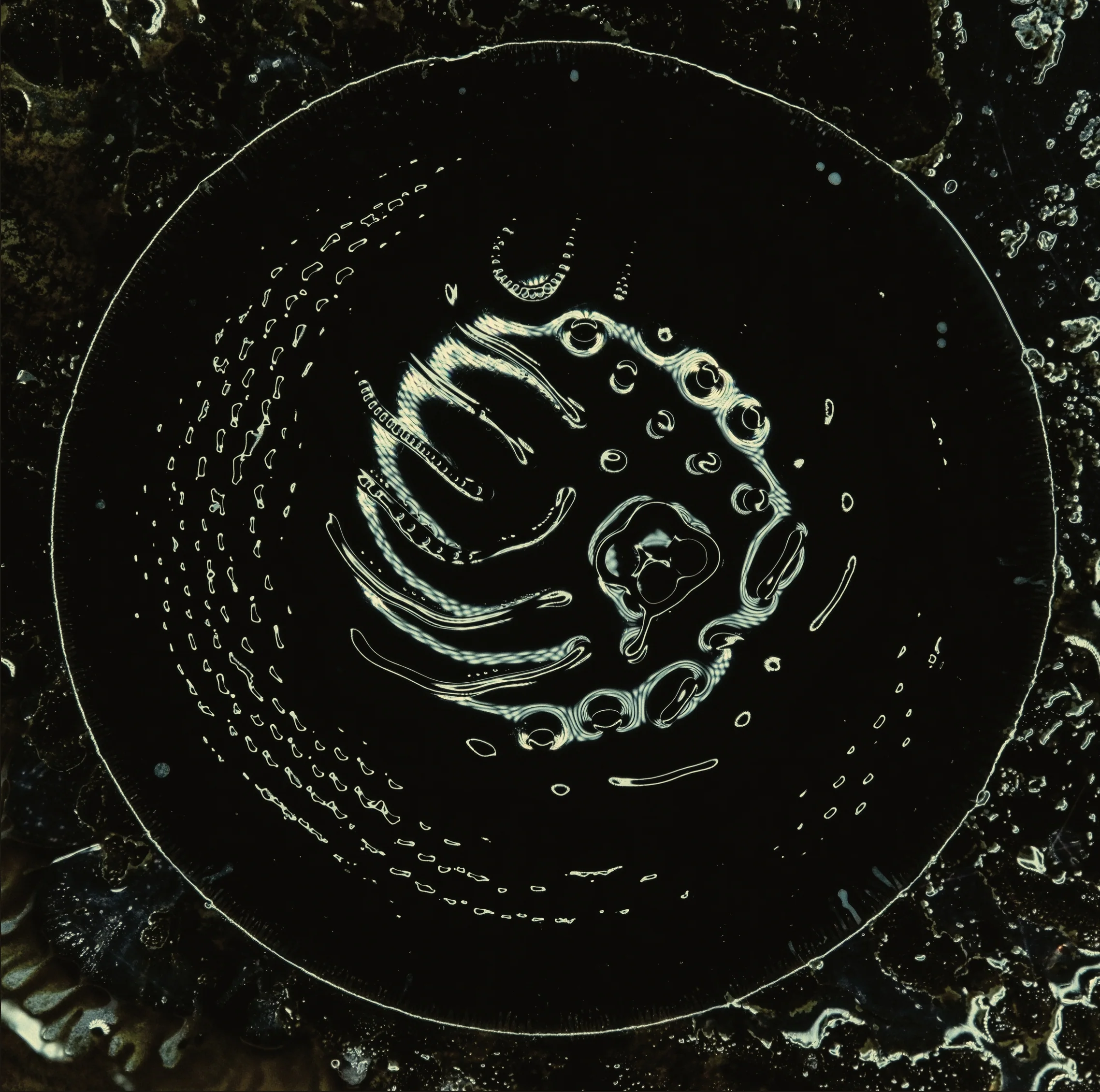 Stonus - Stonus (Black Vinyl) (LP)