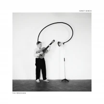 Sweet Baboo - The Wreckage (CD)